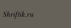 Baskerton Italic 